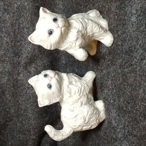 Porcelain white kittens